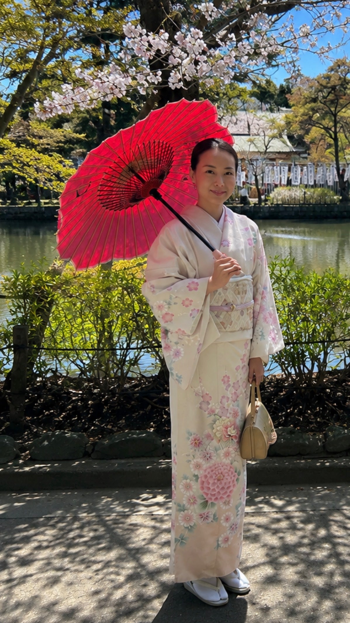 Sakura Gifu Wagasa